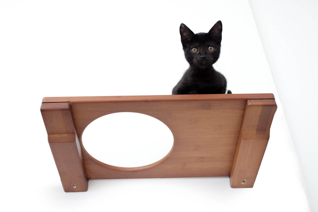 Catastrophic Creations Wall Mounted Cat Shelf