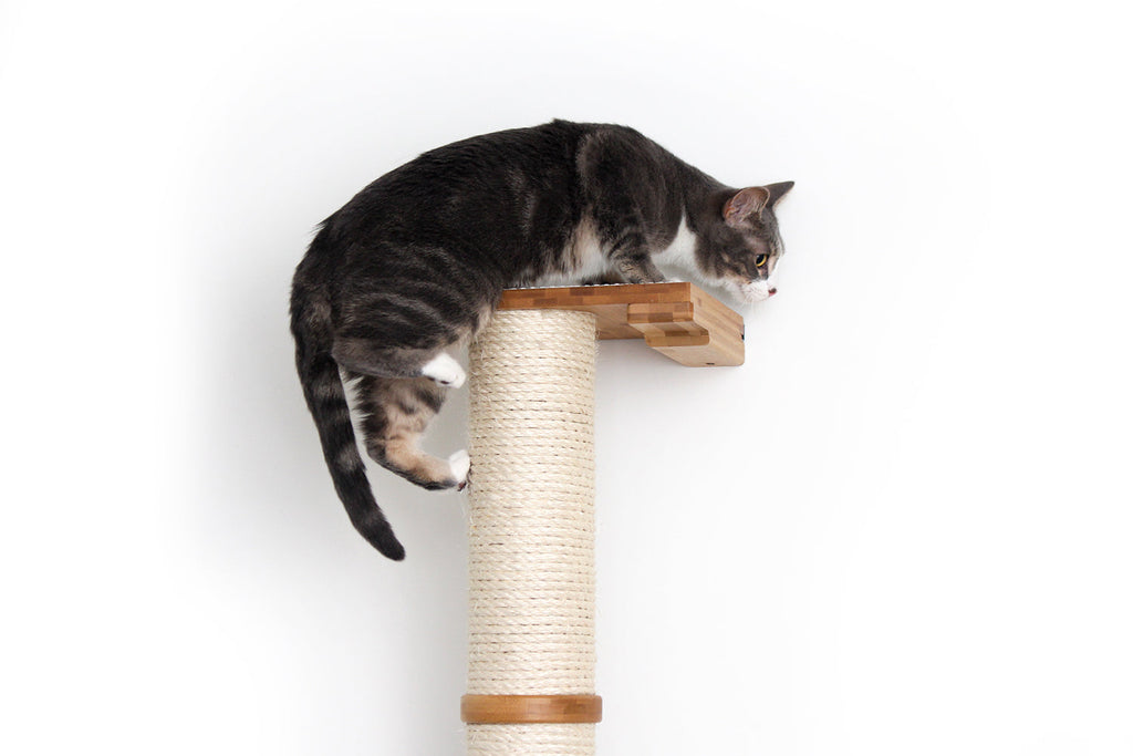 Catastrophic Creations Wall Mounted Cat Climbing Pole - Sisal