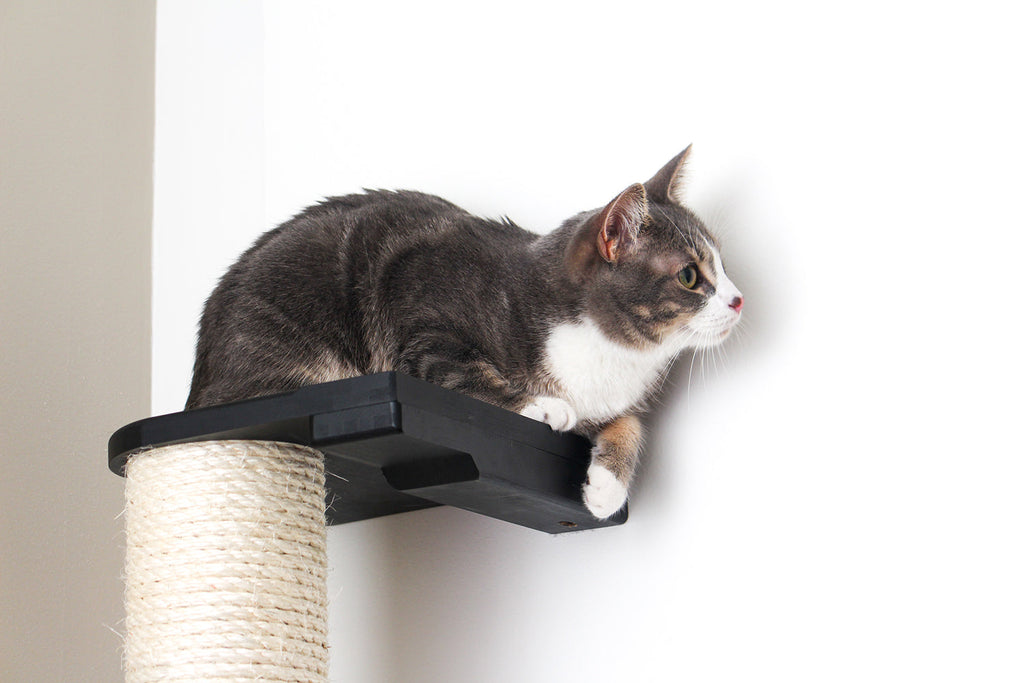 Catastrophic Creations Wall Mounted Cat Climbing Pole - Sisal