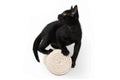 Catastrophic Creations Floating Cat Step for Wall