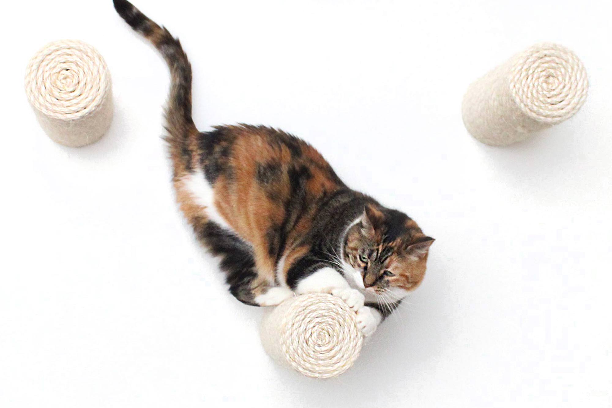 Catastrophic Creations Floating Cat Step for Wall