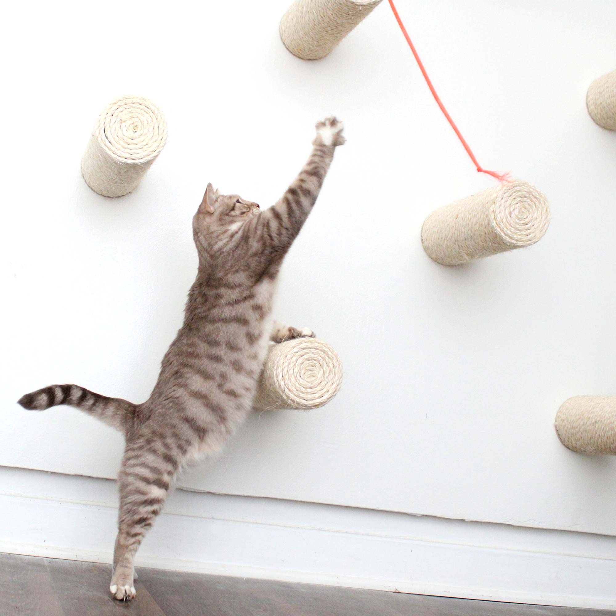 Catastrophic Creations Floating Cat Step for Wall