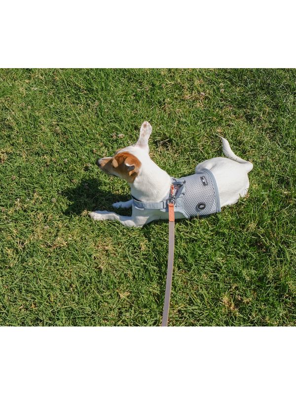 Sleepypod Slim Leash