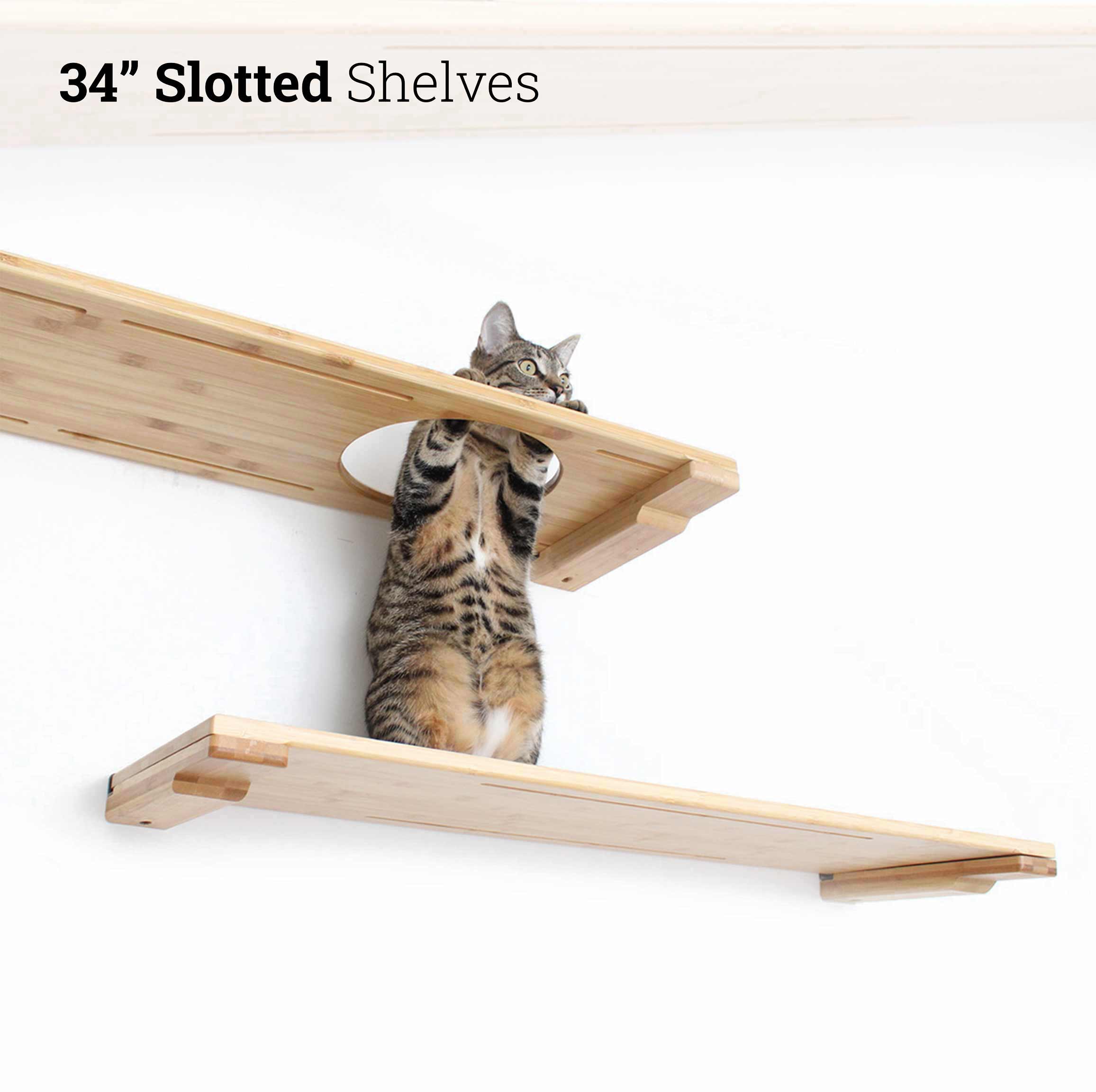 Catastrophic Creations Wall Mounted Cat Shelf
