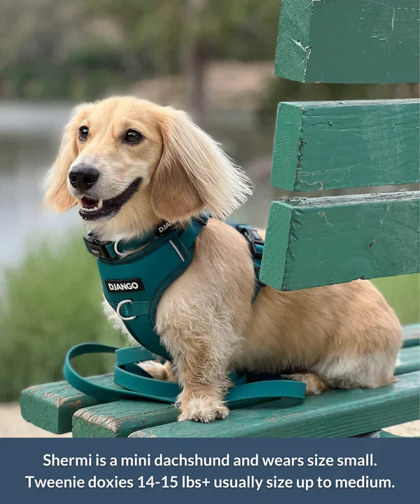 DJANGO Tahoe No Pull Dog Harness