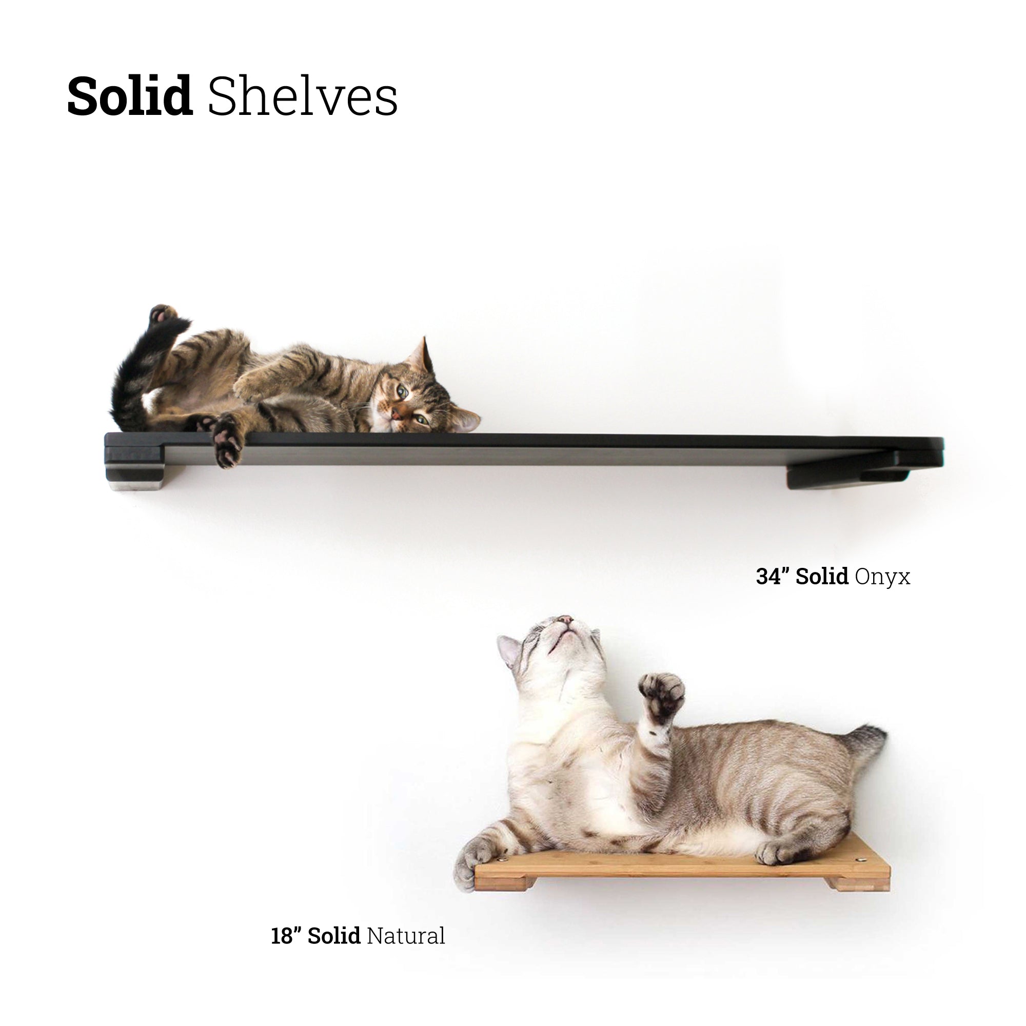 Catastrophic Creations Wall Mounted Cat Shelf