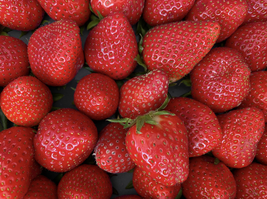 Strawberry Flavored Yak Cheese Chew - made with REAL STRAWBERRY Puree - Single