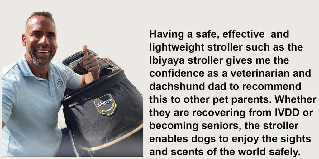 Ibiyaya Maxi Deep Carriage Pet Stroller with Puncture-Free Rubber Wheels, Lightweight and Collapsible