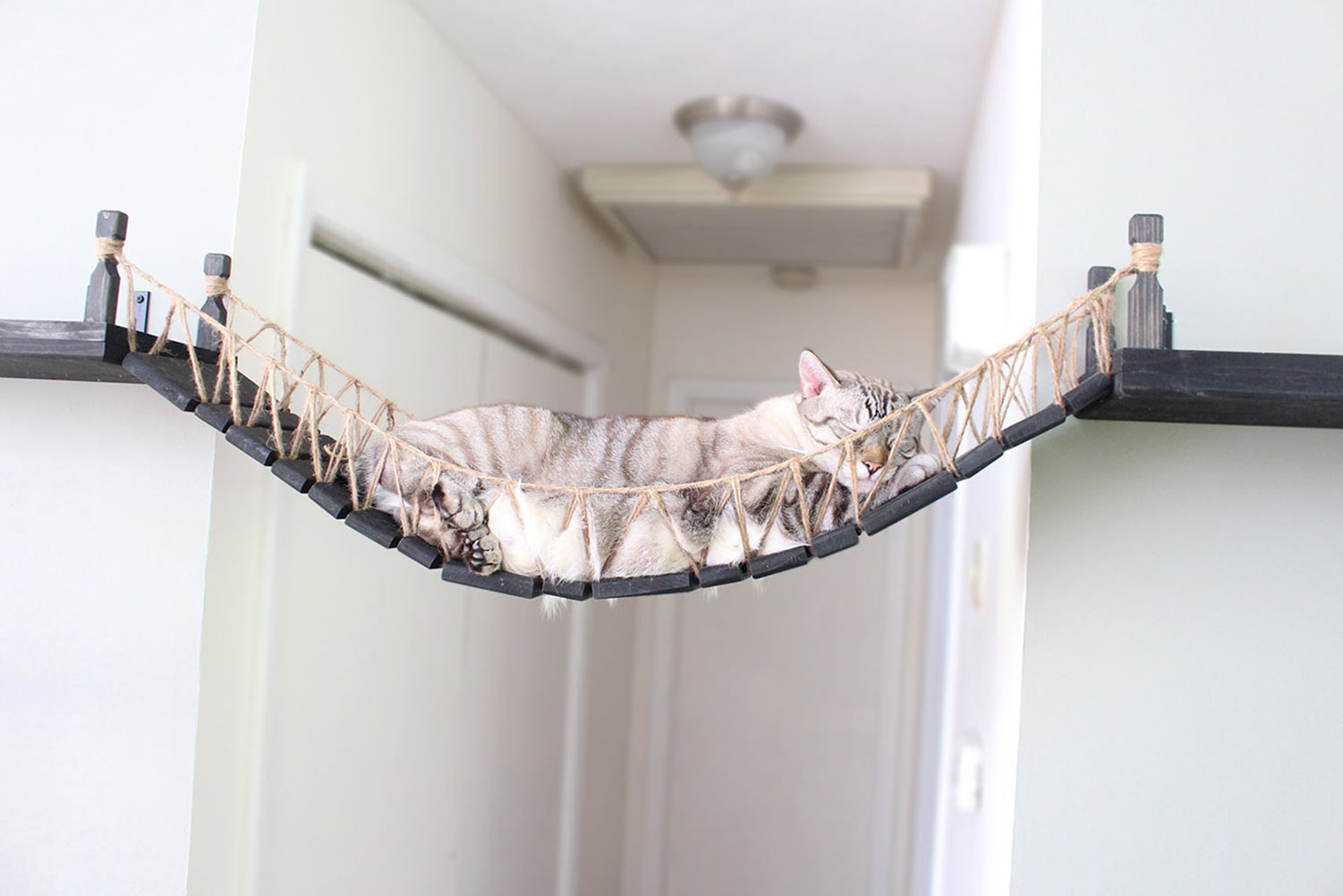 Catastrophic Creations Cat Bridge for Wall