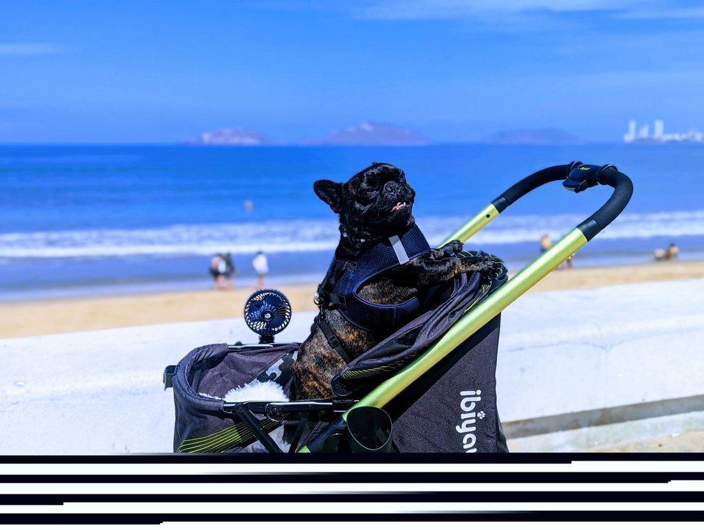 Ibiyaya Beast Pet Jogging Stroller, 3-Wheel All-Terrain Dog-Cat Pram with Double Breaks, Best Large Stroller for Running & Hiking