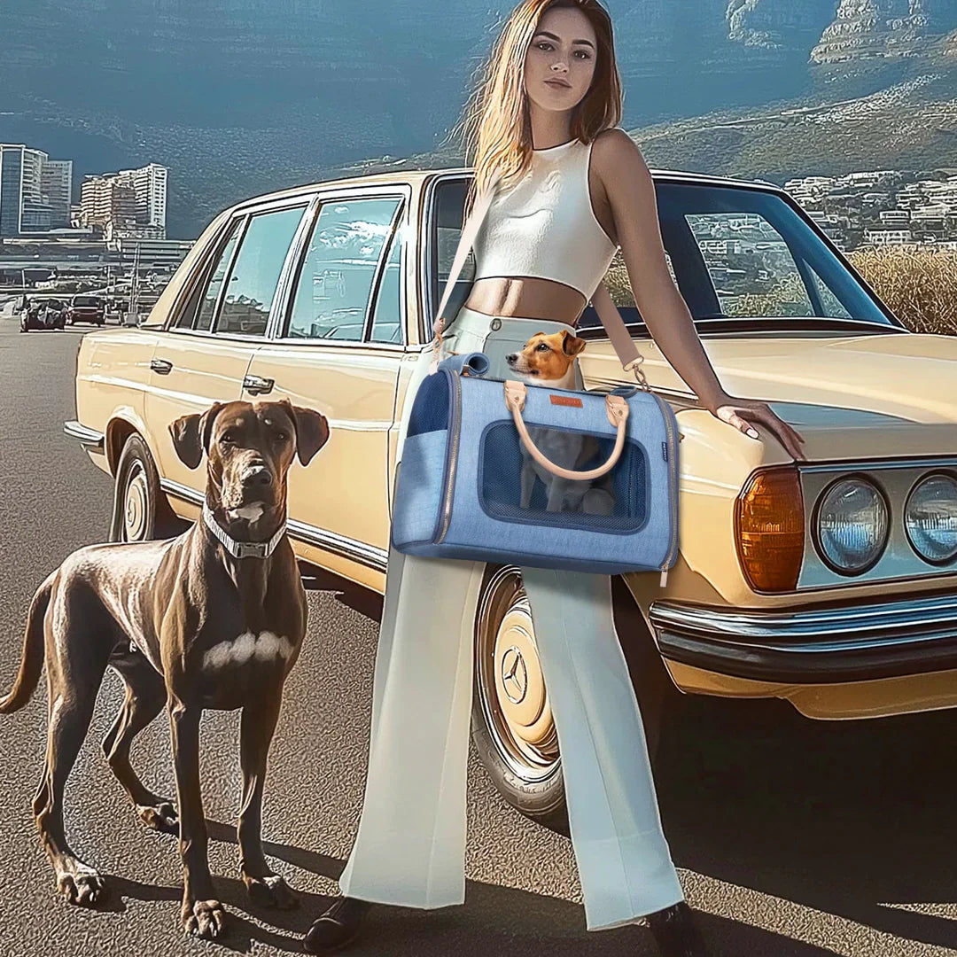 Petsfit Denim Style Airline Compliant Pet Carrier