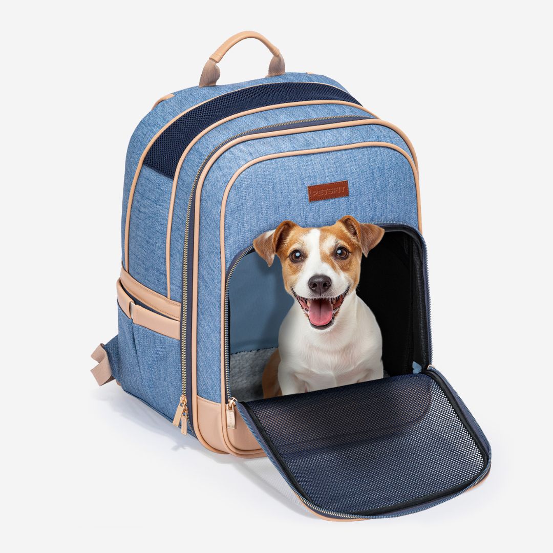 PETSFIT Vira Blazer Trendy Denim Pet Carrier Backpack