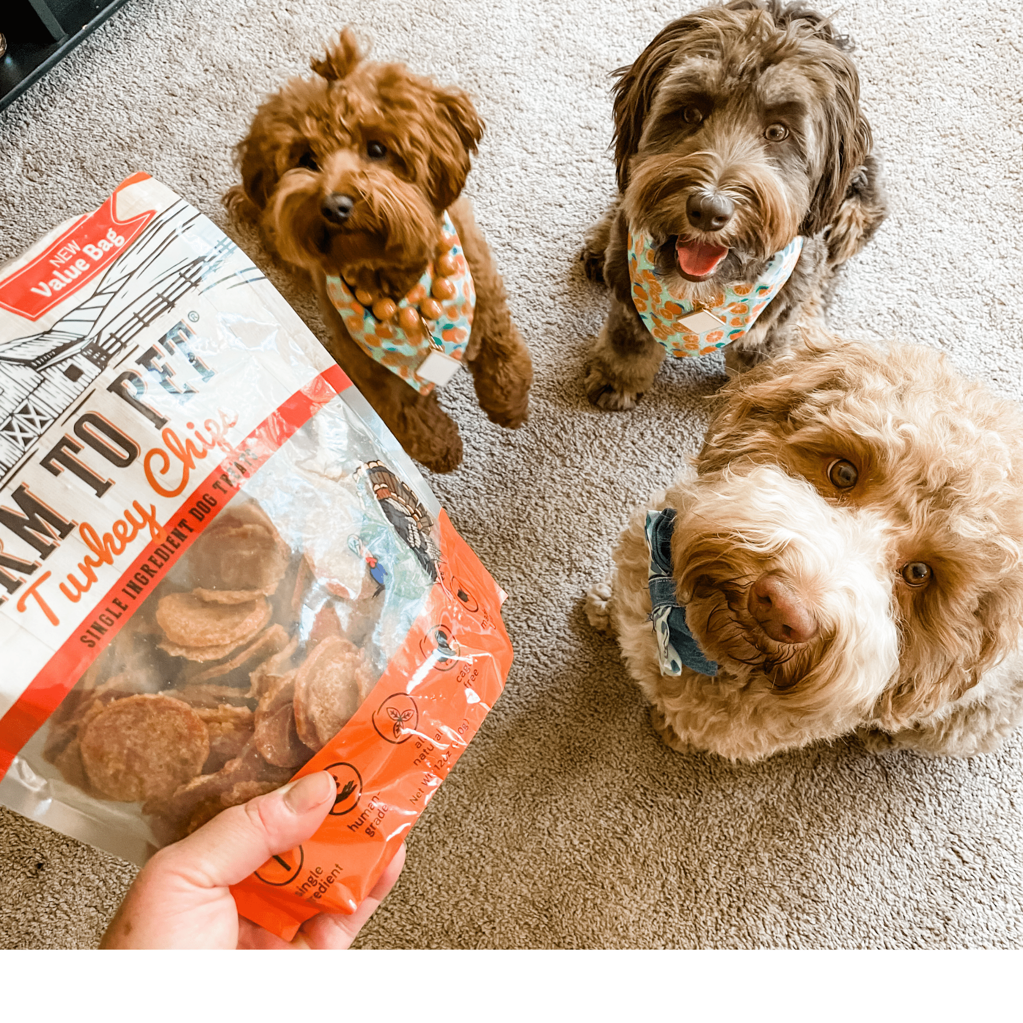 Turkey Chips for Dogs