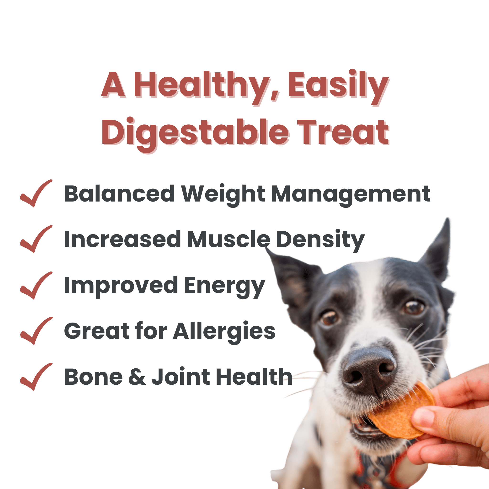 Turkey Chips for Dogs