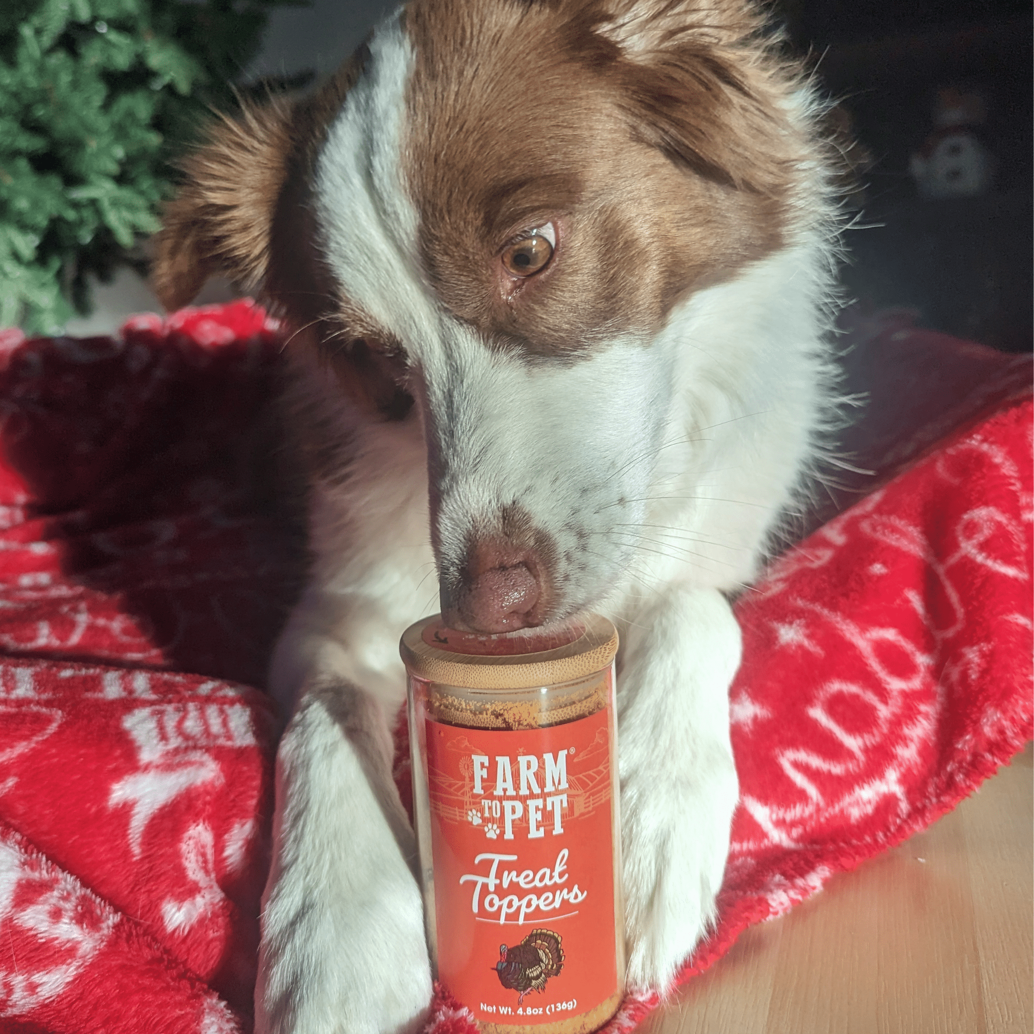 Turkey Treat Dog Food Topper