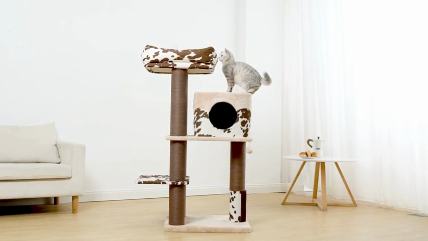 PetPals 50” Grand Maine Coon™ Cat Tree - The Cowboy