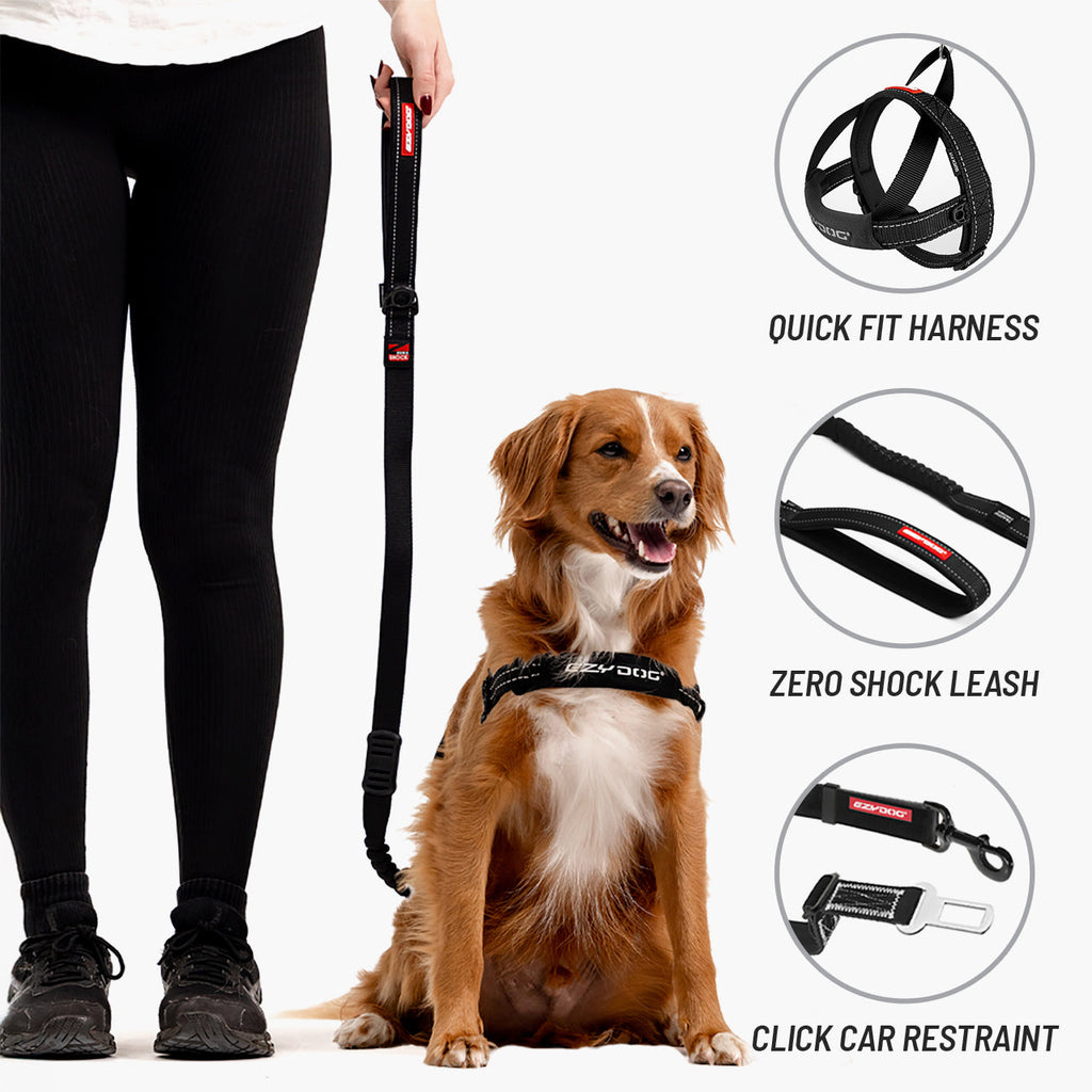 Walking Bundle
