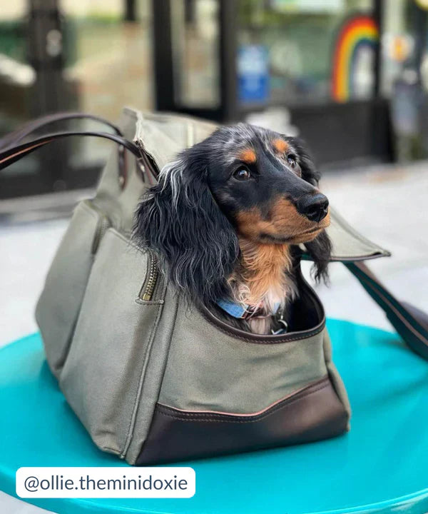 DjangoTote™ Waxed Canvas Dog Carrier Bag and Pet Travel Tote