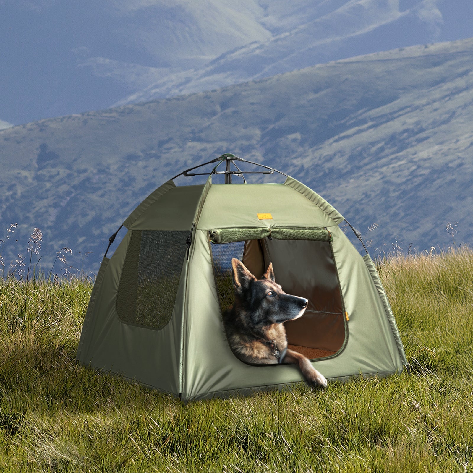 PETSFIT WILDPATH Pop-Up  Pet Tent with Zipper Door