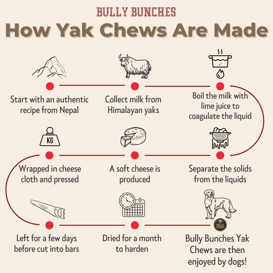 Bully Bunches Himalayan Yak Chew (MEDIUM)